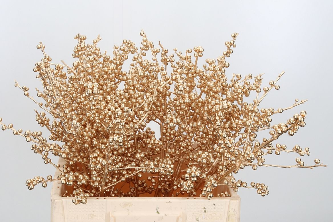 Ilex Painted Antique Gold 60cm