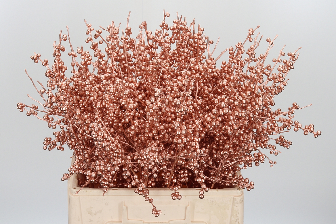 Ilex Painted Copper 60cm