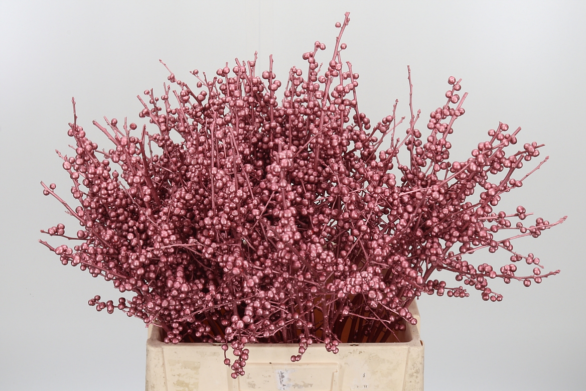 Ilex Painted Rose Gold 60cm